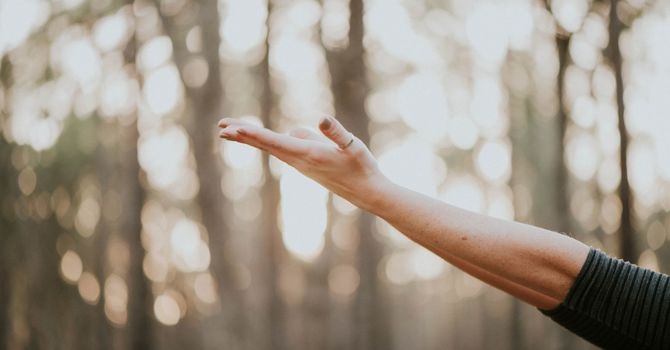 Prenatal / Pediatric Chiropractic & Rehabilitation